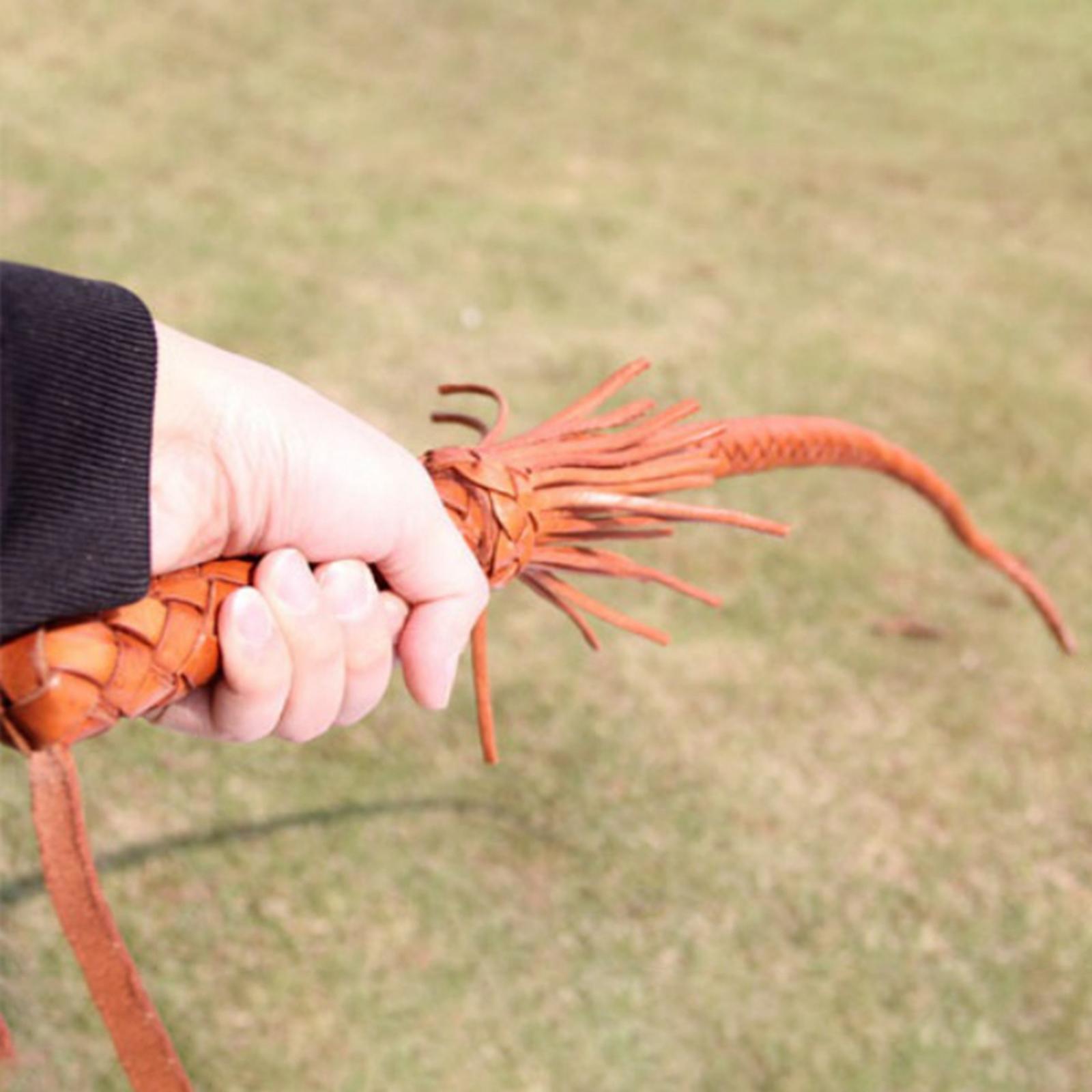 Chicote de Equitação em Couro  - Riding Crop Dressage avaliação e preço